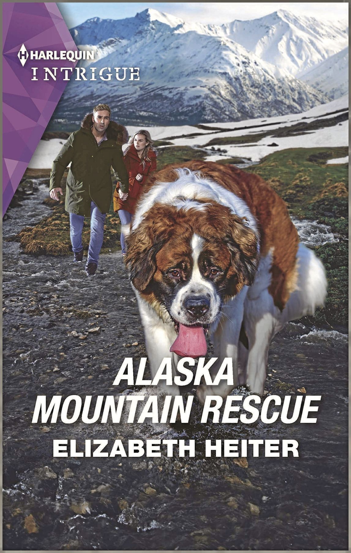 _AlaskaMountainRescue_CMYK.jpg
